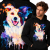 BLUZA Z KAPTUREM ZWIERZĘTA  BORDER COLLIE